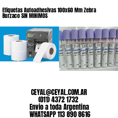 Etiquetas Autoadhesivas 100x60 Mm Zebra  Burzaco SIN MINIMOS