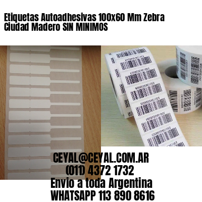 Etiquetas Autoadhesivas 100x60 Mm Zebra  Ciudad Madero SIN MINIMOS