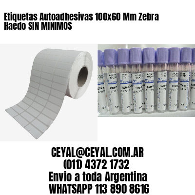 Etiquetas Autoadhesivas 100x60 Mm Zebra  Haedo SIN MINIMOS