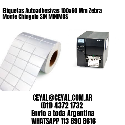Etiquetas Autoadhesivas 100×60 Mm Zebra  Monte Chingolo SIN MINIMOS