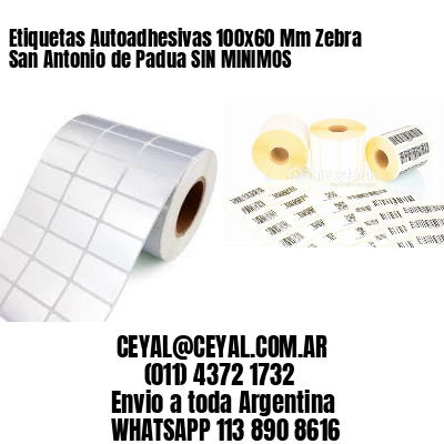 Etiquetas Autoadhesivas 100×60 Mm Zebra  San Antonio de Padua SIN MINIMOS