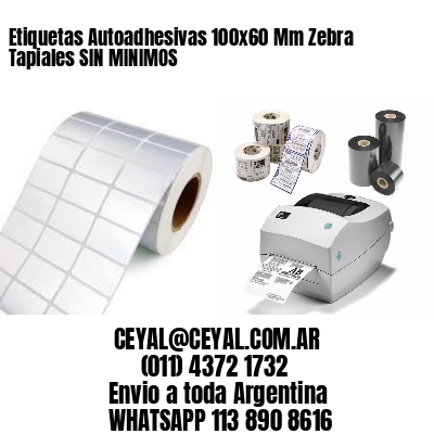 Etiquetas Autoadhesivas 100x60 Mm Zebra  Tapiales SIN MINIMOS